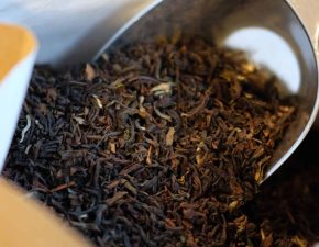 Darjeeling Thé