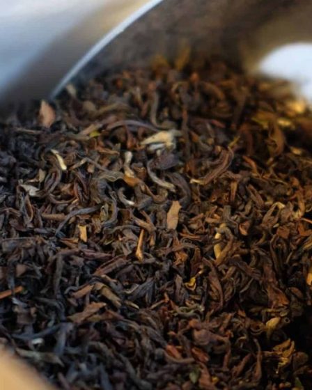 Darjeeling Thé