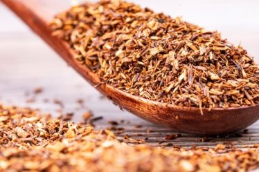 rooibos