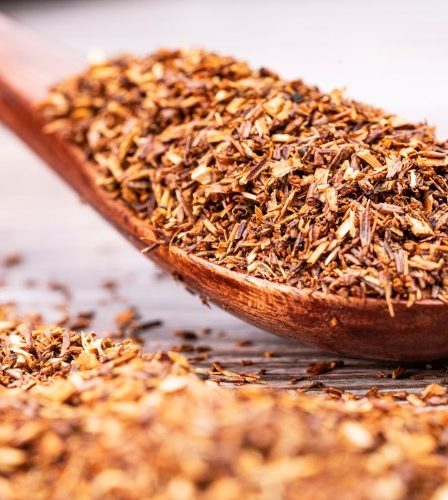 rooibos