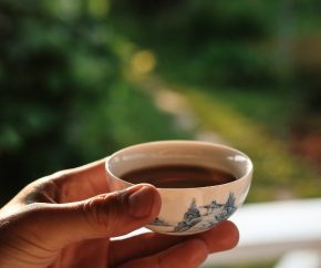 thé oolong