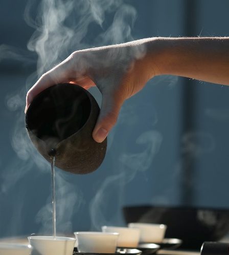 culture japonaise du thé